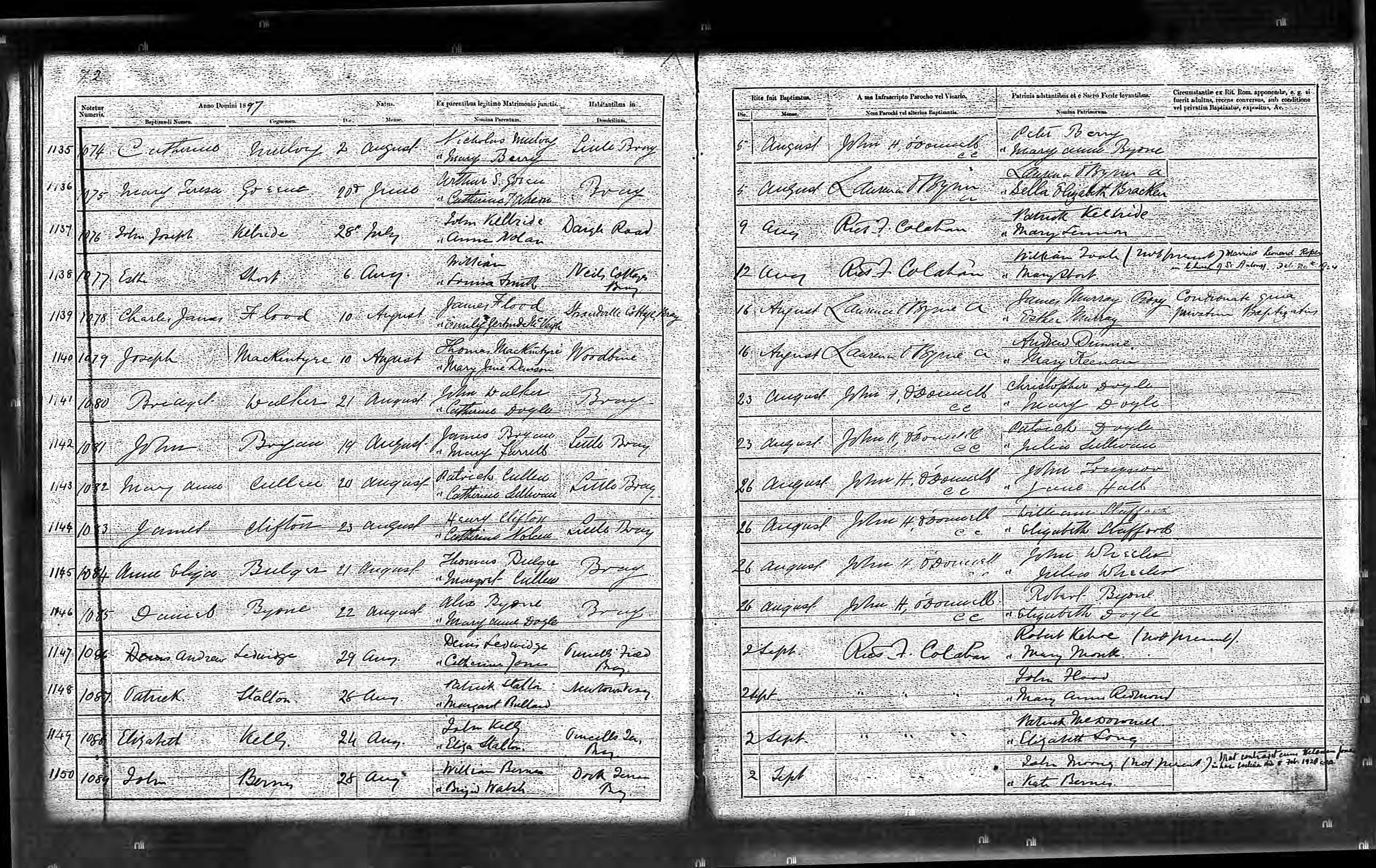Mary Anne Cullen profile