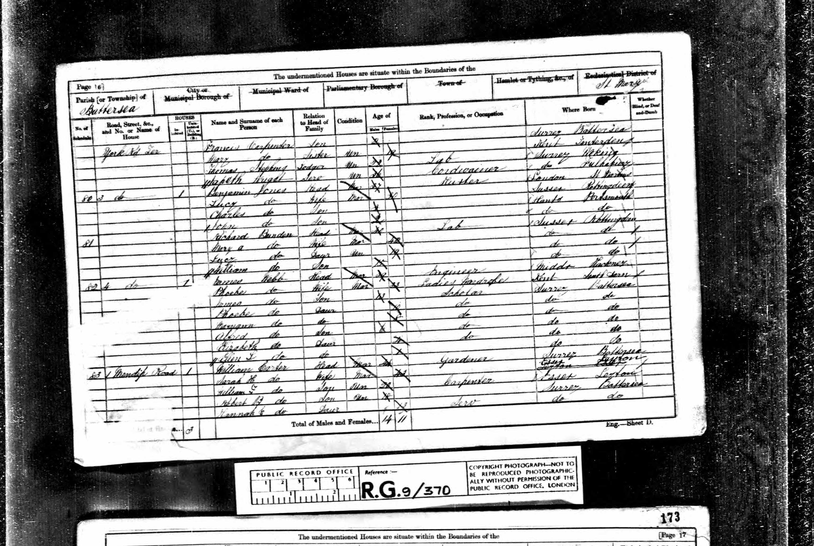 Hannah Elizabeth Carter profile